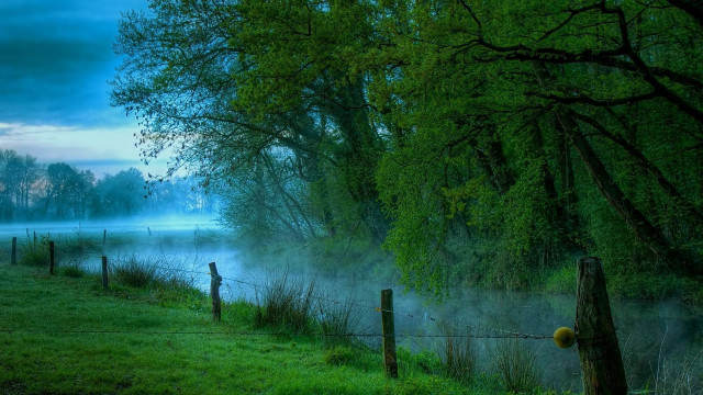 Foggy lake fence trees nighttime free wallpaper - medium preview image