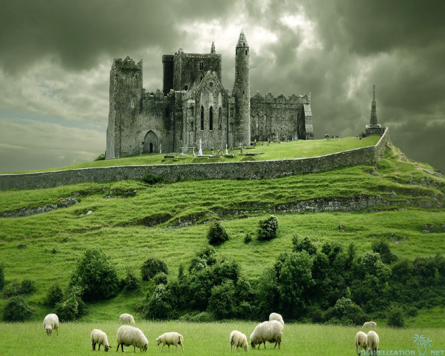 Castle sheep grazing field cloudy free wallpaper - medium preview image