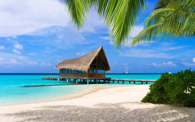 Beach hut dock boat palm free wallpaper - medium preview image