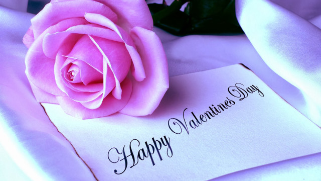 Pink rose valentines white card free wallpaper - medium preview image