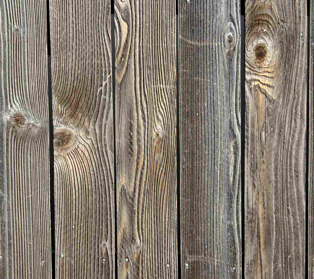 Bird perched wooden fence post free wallpaper - medium preview image