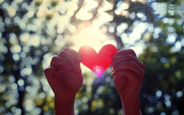 Person holding heart forest background free wallpaper - medium preview image