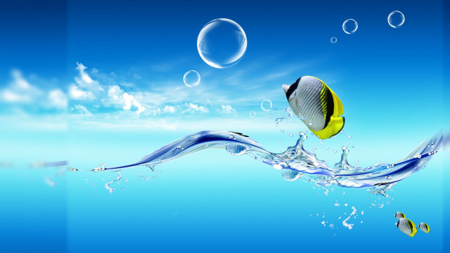 Fish swimming ocean bubbles underwater #4 free wallpaper - medium preview image