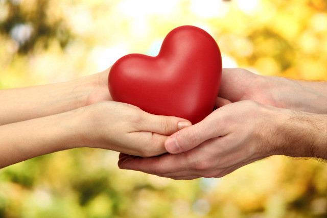 Heart hands blurred background trees free wallpaper - medium preview image
