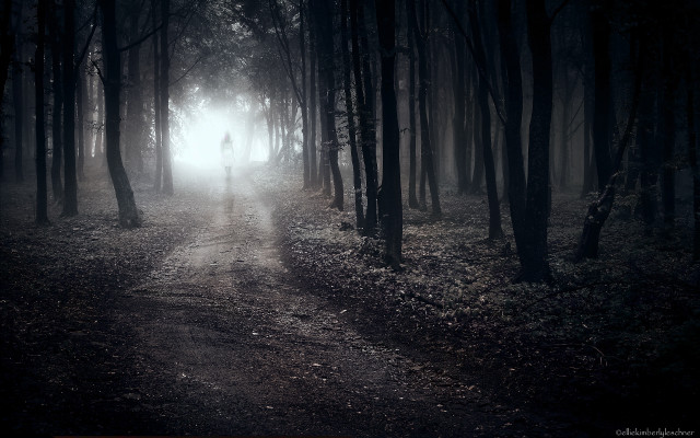 Person walking path woods night free wallpaper - medium preview image