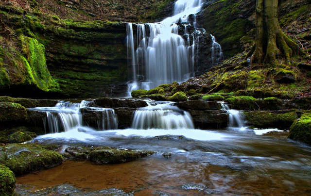Waterfall moss rocks water trees free wallpaper - medium preview image