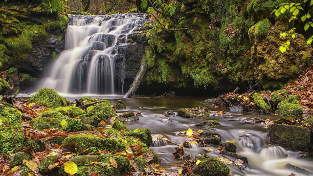 Waterfall forest mossy rocks trees #5 free wallpaper - medium preview image