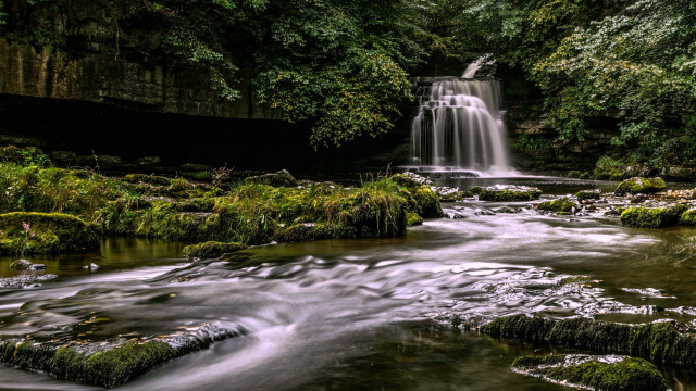 Waterfall forest mossy rocks trees #8 free wallpaper - medium preview image