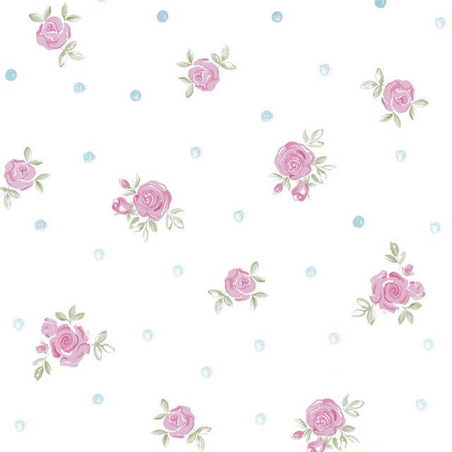 White background pink roses blue free wallpaper - medium preview image