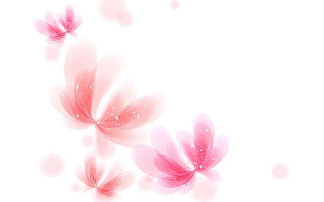 Pink flower bubbles white background free wallpaper - medium preview image