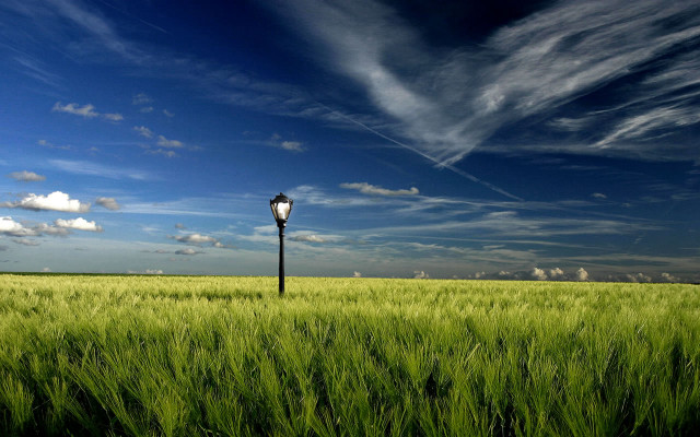 Lamp post field blue sky free wallpaper - medium preview image
