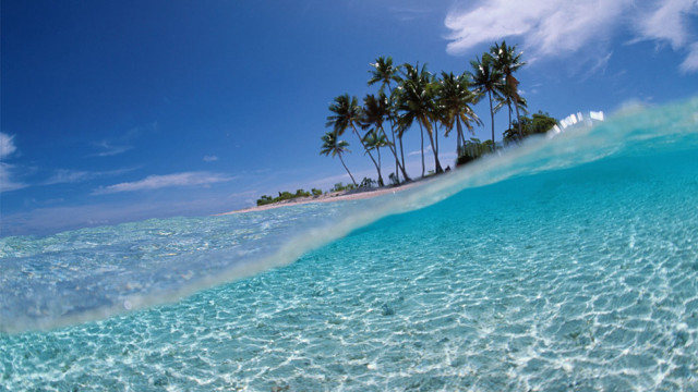 Wave beach palm trees sky free wallpaper - medium preview image
