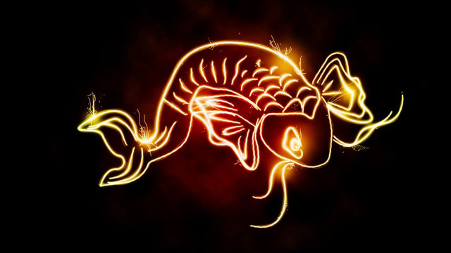 Long tail fish tail like free wallpaper - medium preview image