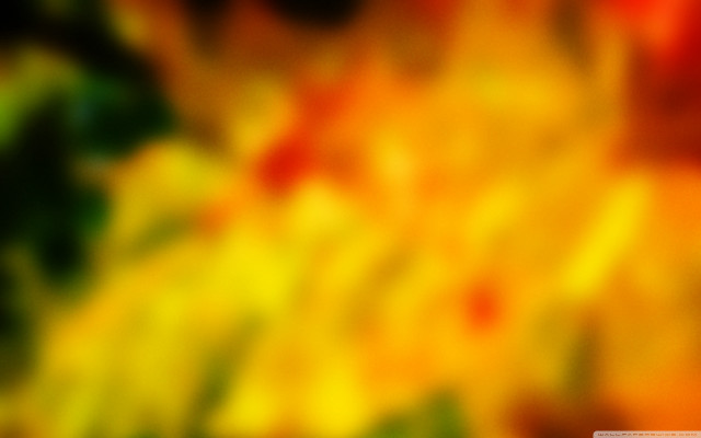 Blurry yellow red flower green free wallpaper - medium preview image
