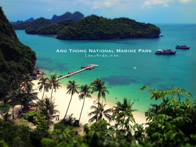 Dingyunpeng beach boats palm trees free wallpaper - medium preview image