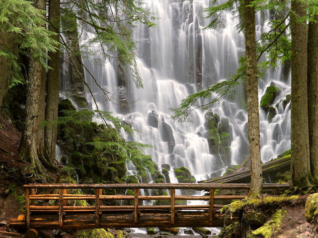 Bridge stream forest waterfall wooden free wallpaper - medium preview image