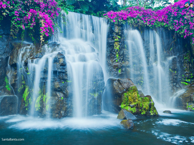 Waterfall purple flowers rock water #4 free wallpaper - medium preview image