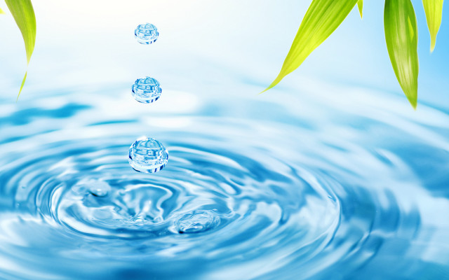 Water drop green leaf background free wallpaper - medium preview image