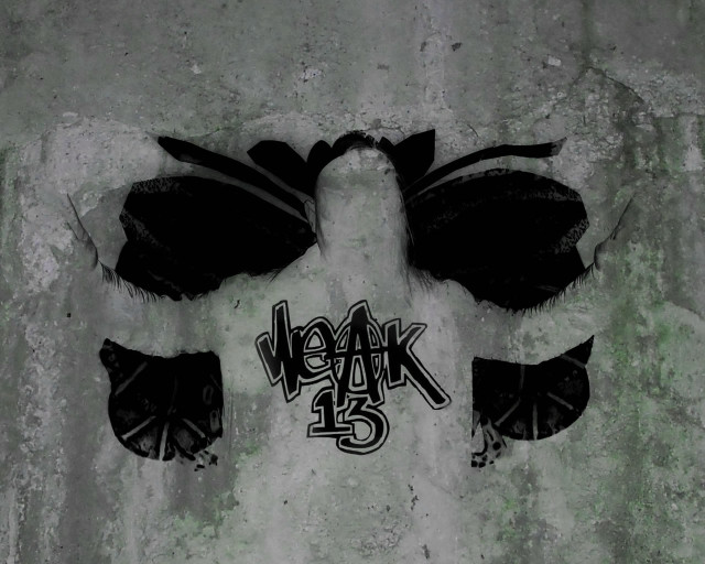 Graffiti bird walk 25 wings free wallpaper - medium preview image