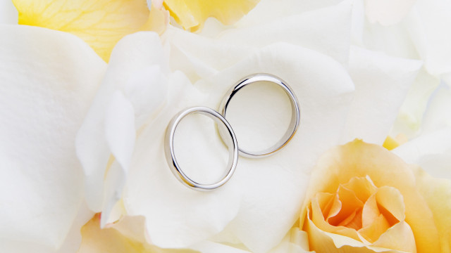 Silver rings white flower yellow free wallpaper - medium preview image