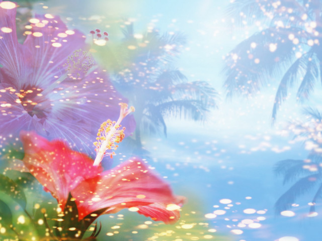 Flower palm trees christmas night free wallpaper - medium preview image