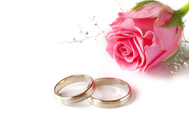 Wedding rings rose white background #3 free wallpaper - medium preview image