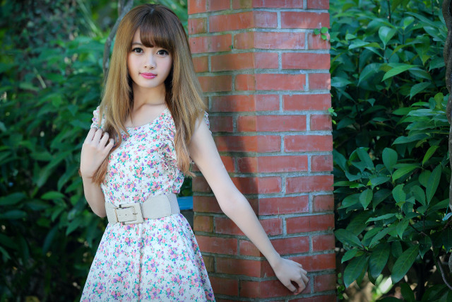 Woman dress brick wall bushes free wallpaper - medium preview image