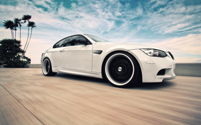 White car road palm tree free wallpaper - medium preview image