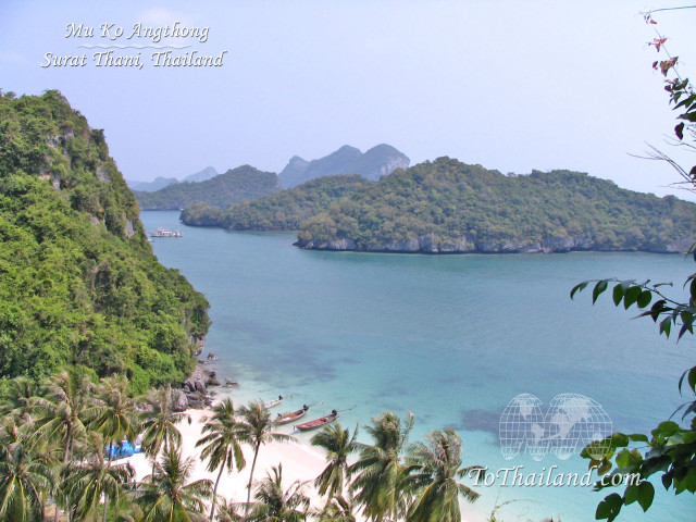 Beach trees water boat mountain free wallpaper - medium preview image