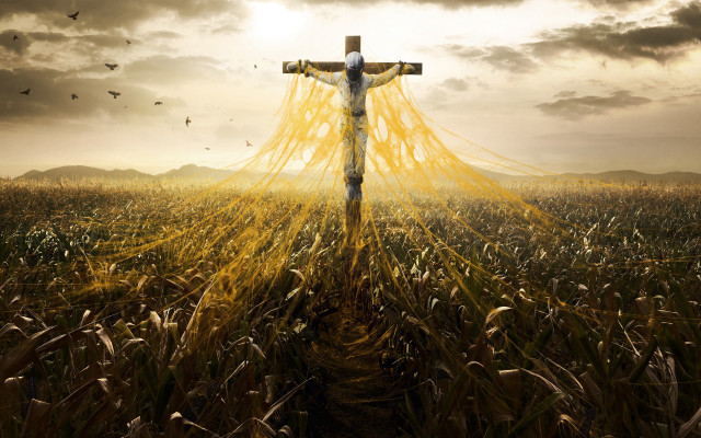 Cross field sky birds flying free wallpaper - medium preview image