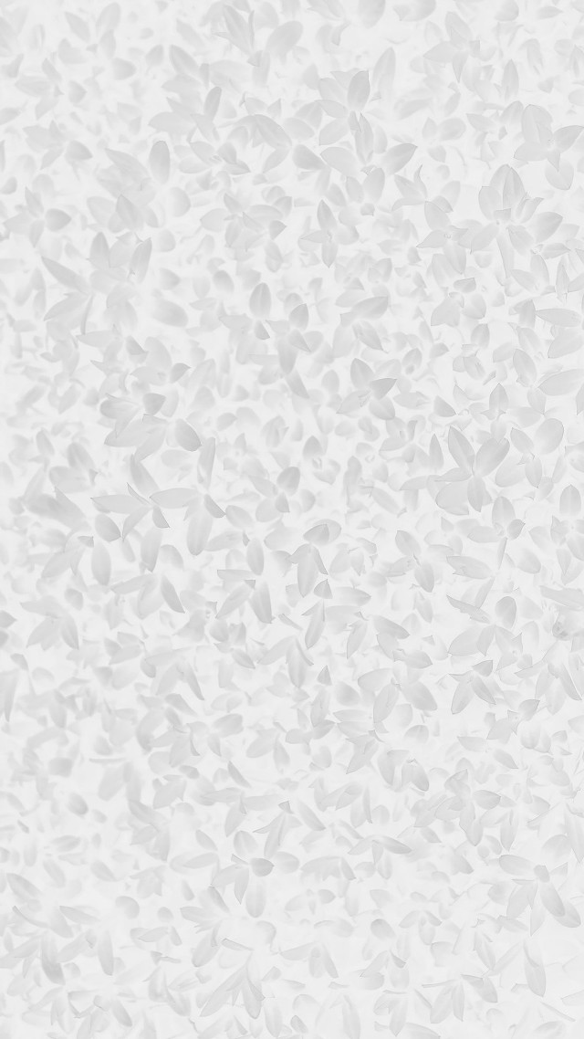 White background small leaves pattern free wallpaper - medium preview image
