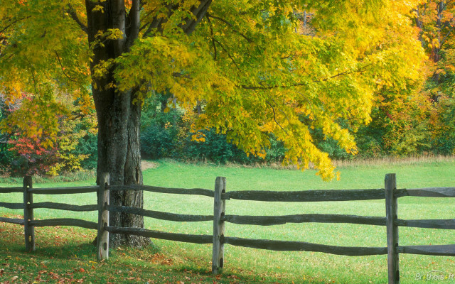 Wooden fence autumn leaves bench free wallpaper - medium preview image