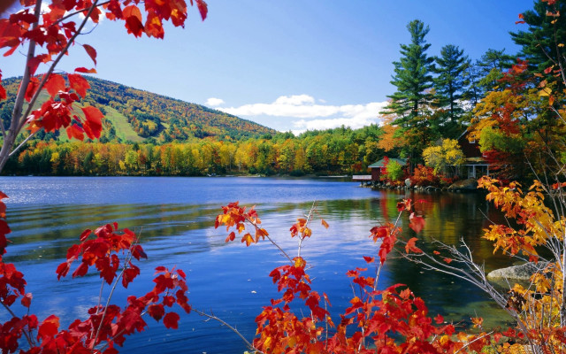 Lake trees red leaves mountain #2 free wallpaper - medium preview image