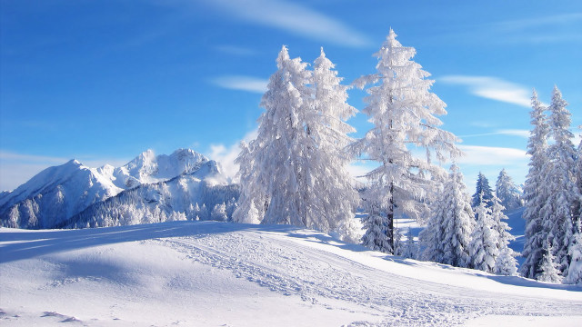 Snowy landscape trees mountains blue #4 free wallpaper - medium preview image