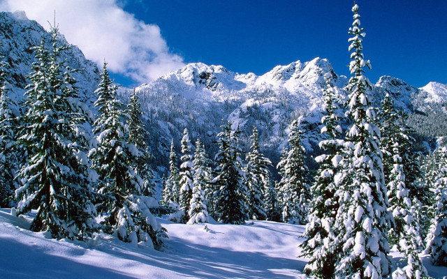 Snowy mountain trees covered clouds #4 free wallpaper - medium preview image
