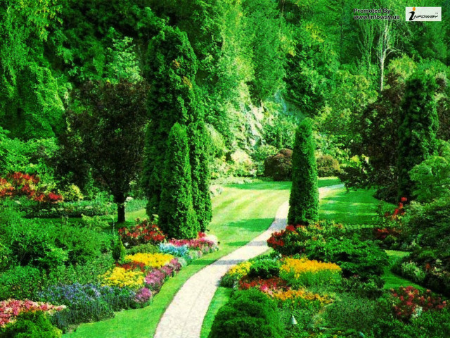 Garden path flowers trees nature free wallpaper - medium preview image