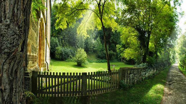 Park fence tree person walking free wallpaper - medium preview image