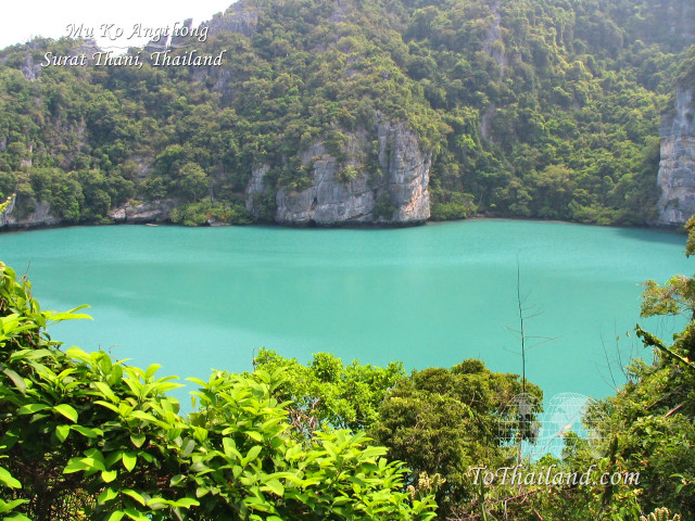 Lake trees mountains blue sky #15 free wallpaper - medium preview image
