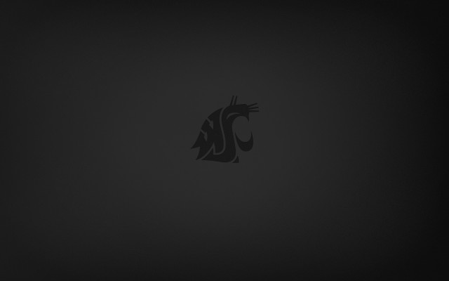 Black background black cat side free wallpaper - medium preview image