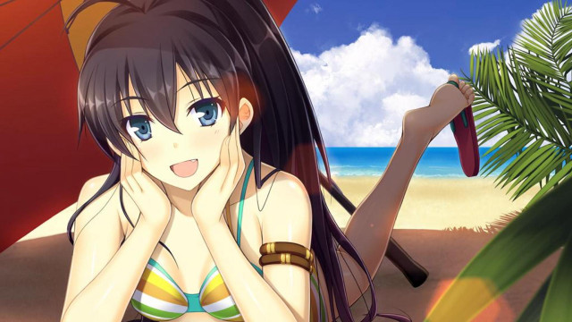 Bikini woman beach umbrella palm free wallpaper for desktop - medium preview image
