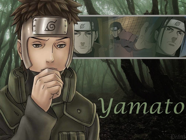 Man helmet forest trees sign free wallpaper - medium preview image
