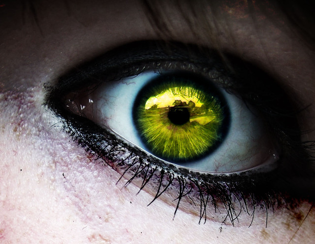 Close up green iris black free wallpaper - medium preview image