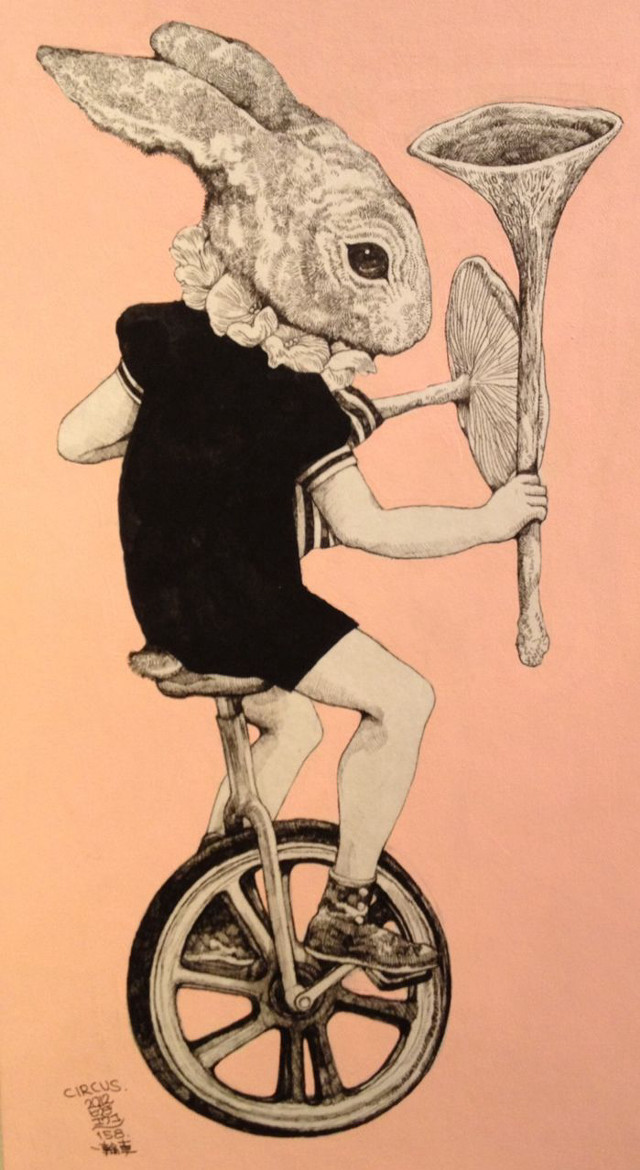 Rabbit riding bike tennis racket free wallpaper - medium preview image
