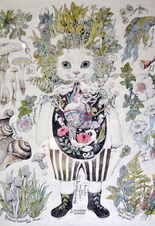 Cat flowers animals head painting free wallpaper - medium preview image
