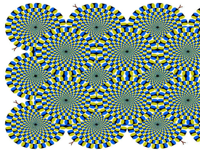 Blue yellow flower white background free wallpaper - medium preview image