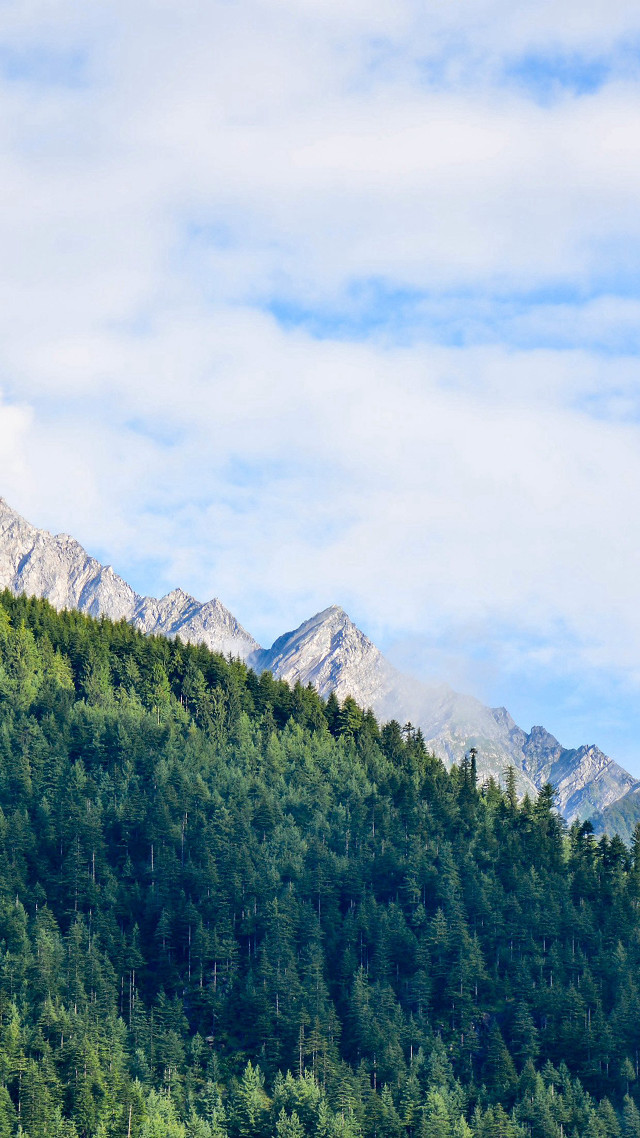 Mountain forest sky clouds trees #2 free wallpaper - medium preview image
