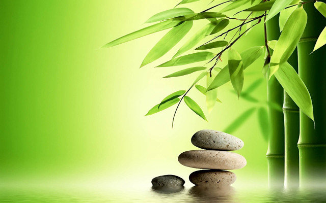 Bamboo tree rocks leaves green free wallpaper - medium preview image