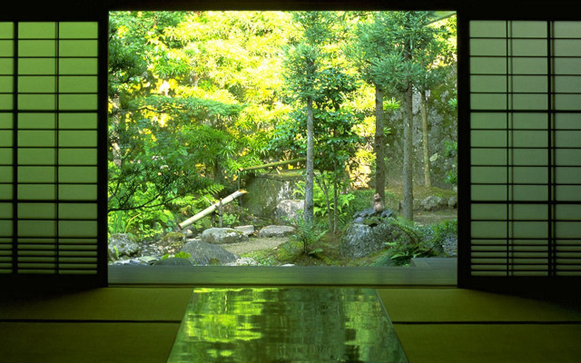Glass table forest view window free wallpaper - medium preview image