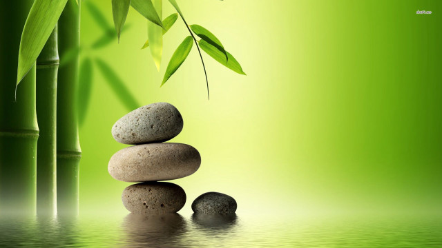 Bamboo tree two rocks bamboo free wallpaper - medium preview image