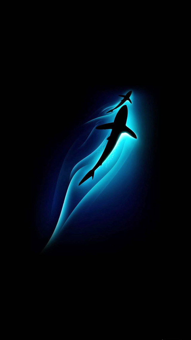Person swimming ocean shark nighttime free wallpaper - medium preview image